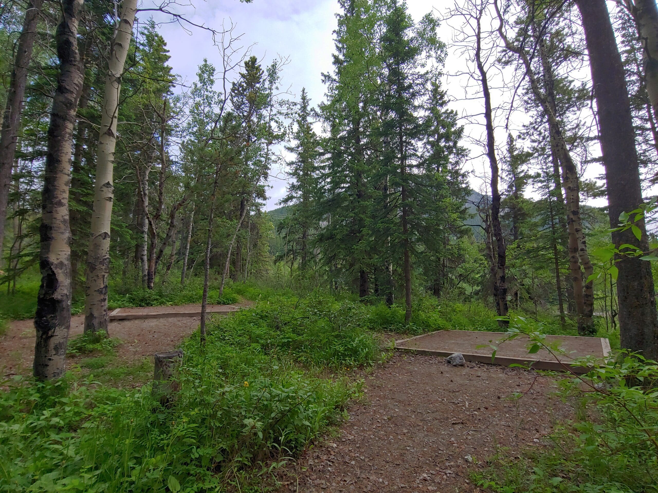 Paddling to Glorious Jewell Bay Campground - The Adventures Of Blondie