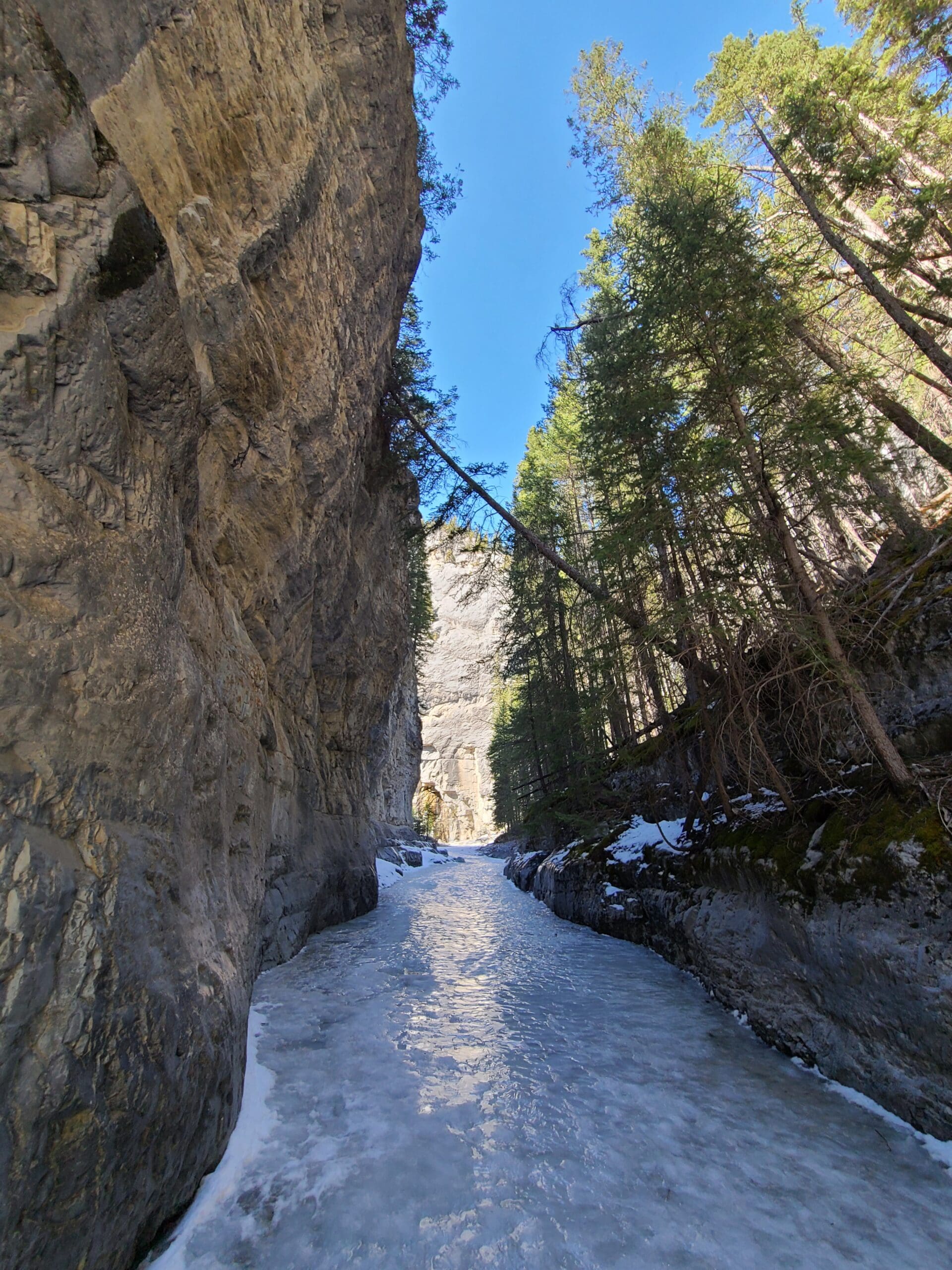 The Grotto Canyon Hike Is The Perfect Spring Adventure - The Adventures ...